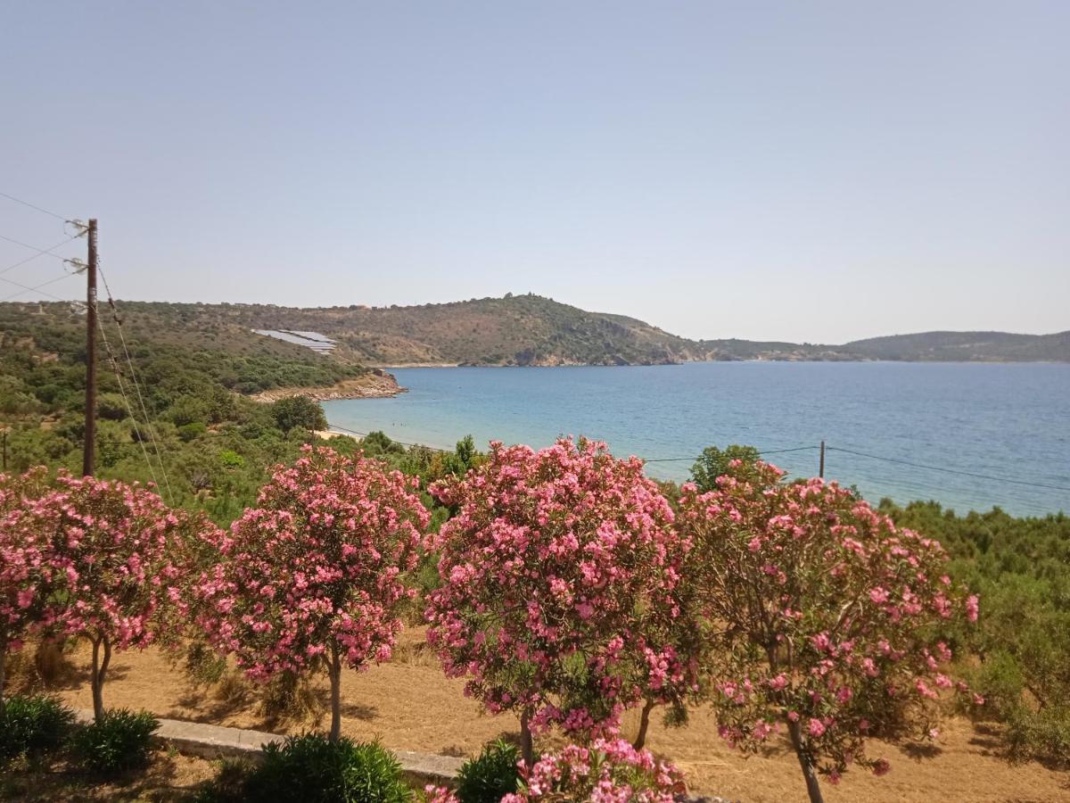 Skoutari Beach Hotel Ngoại thất bức ảnh